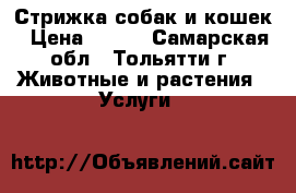 Стрижка собак и кошек › Цена ­ 400 - Самарская обл., Тольятти г. Животные и растения » Услуги   